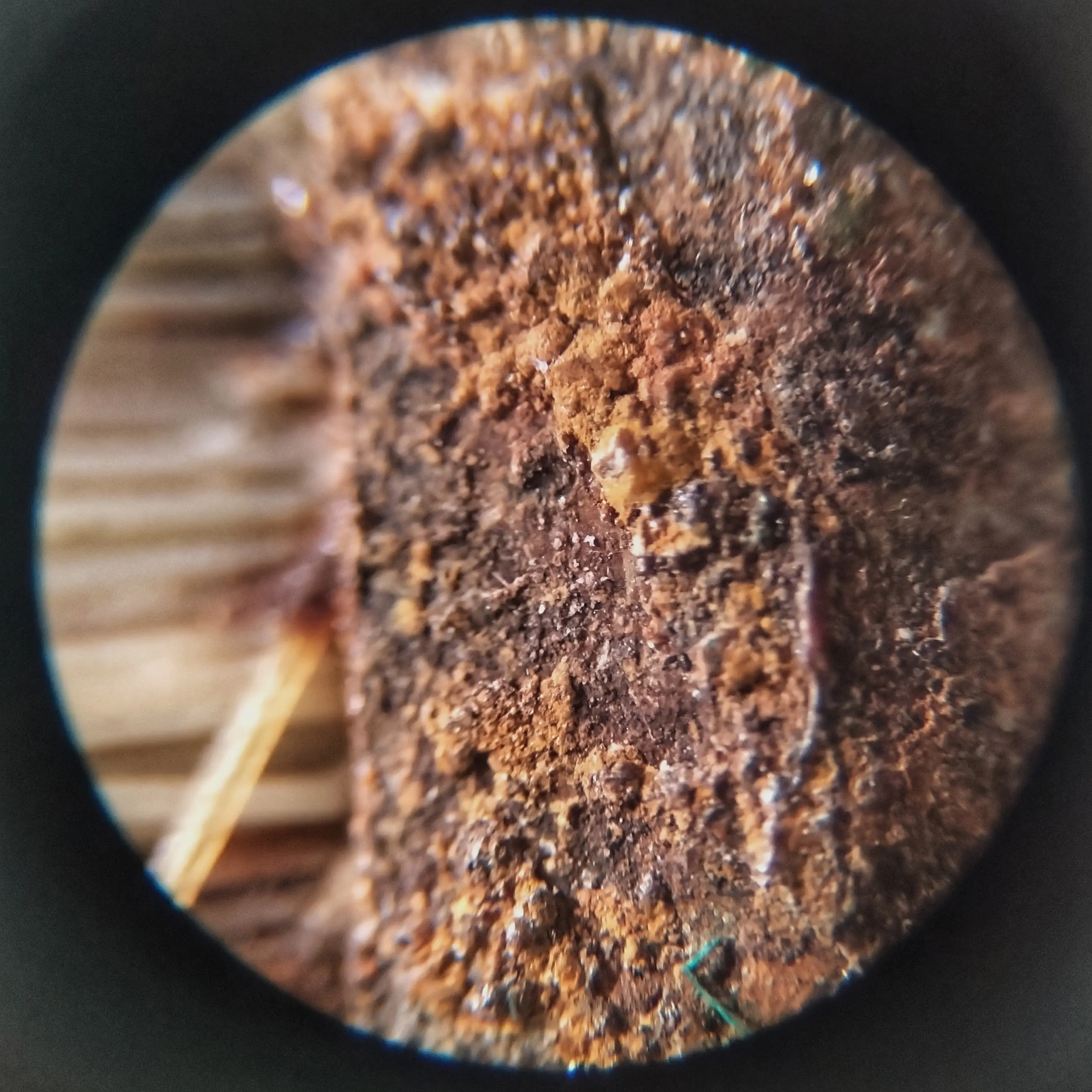 rust0001