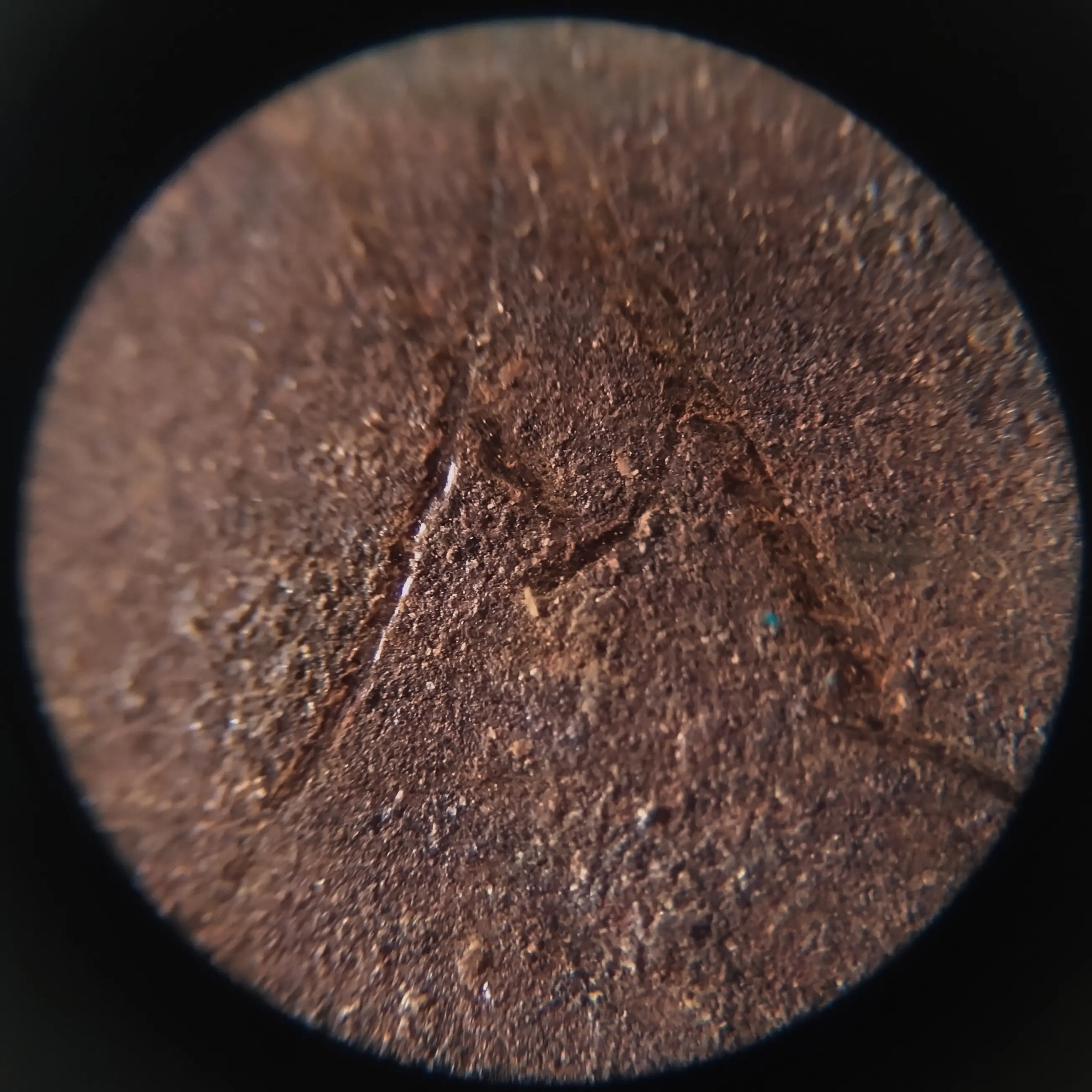 rust0006