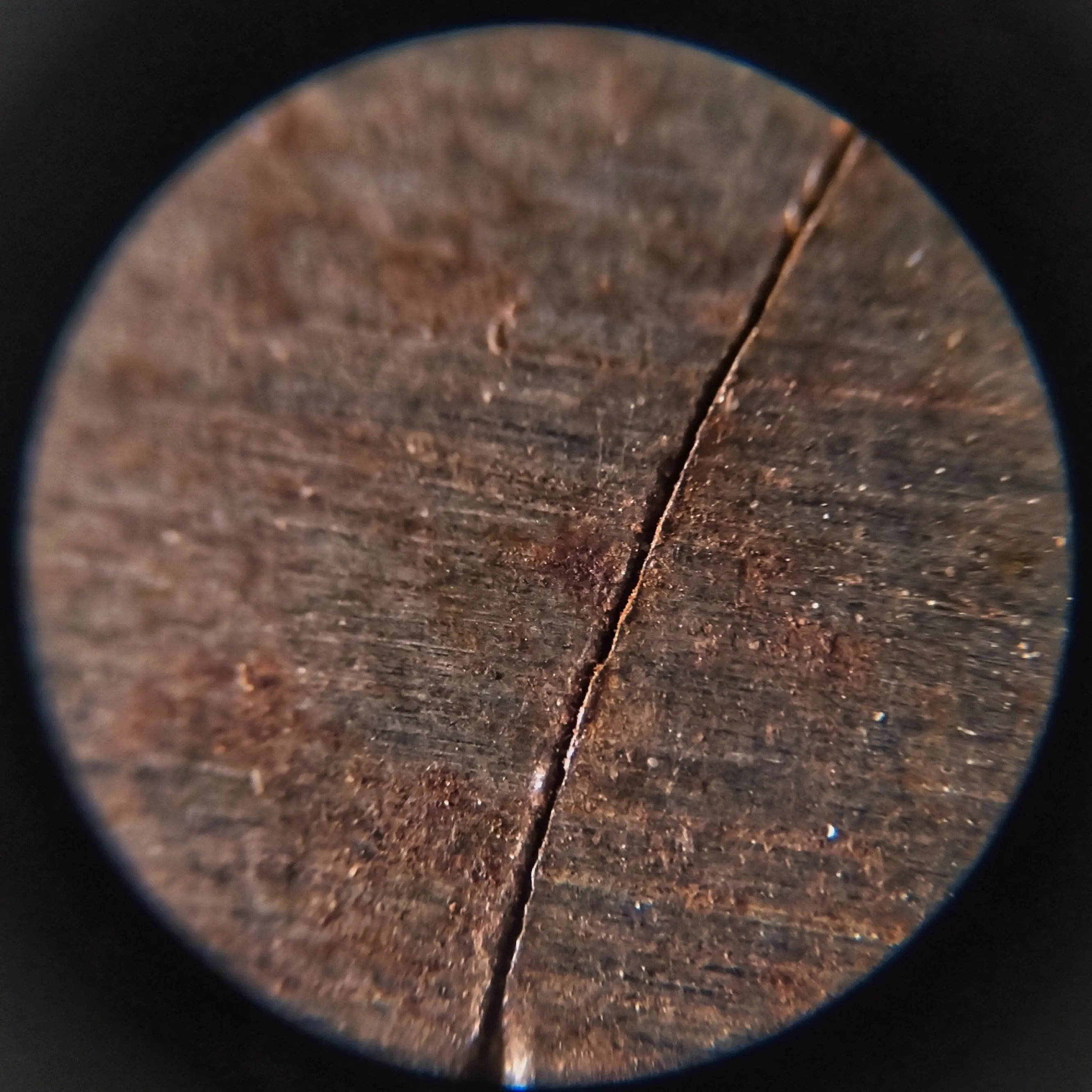 rust0007