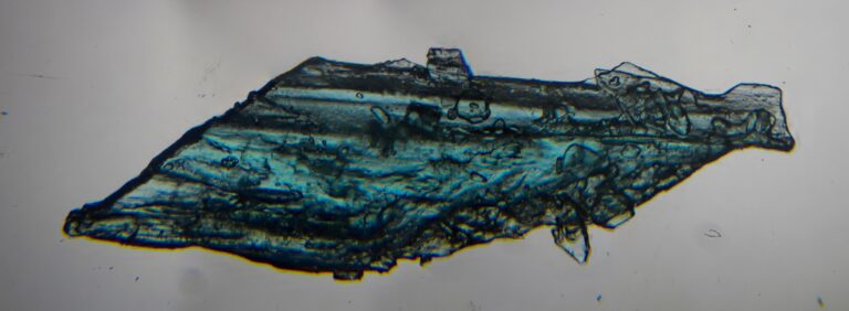 november 13, 2025crystal00 panorama